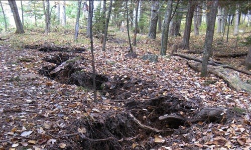 Khe nứt dài 110 m xuất hiện trong khu rừng ở Michigan, Mỹ.