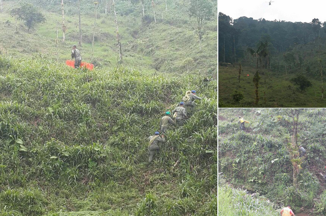 Công tác tìm kiếm cứu hộ diễn ra sau khi máy bay quân sự Ecuador rơi ở vùng rừng Amazon. (Ảnh: Twitter)