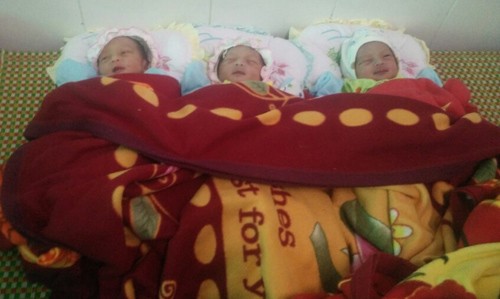 Ba bé sinh ba con của sản phụ Hằng tại bệnh viện đa khoa Anh Sơn. Ảnh: Phương Linh.