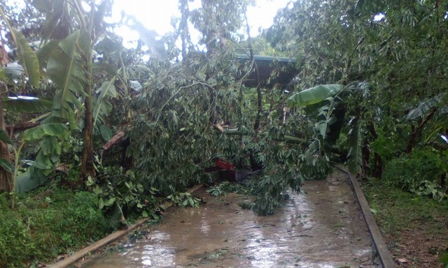 Lốc lớn thổi bay nhiều mái nhà, cây cối tại Hà Tĩnh