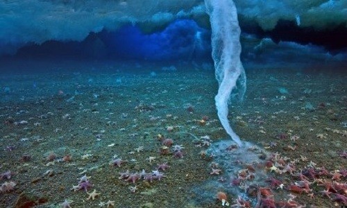 Hiện tượng "ngón tay tử thần" thường xảy ra ở vùng biển Nam Cực và Bắc Cực. Ảnh: Pinterest.