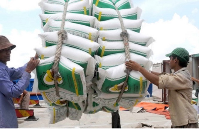 Tháo gỡ khó khăn cho doanh nghiệp xuất khẩu gạo