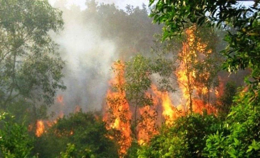 Cảnh báo nguy cơ cháy rừng ở nhiều khu vực