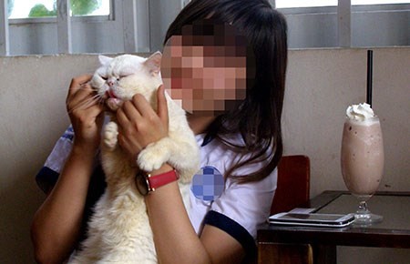 Một bạn trẻ ôm ấp mèo, bên cạnh là ly kem không có nắp đậy