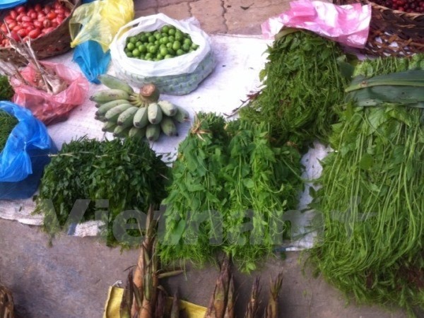 Các loại rau rừng đã bắt đầu vào cuối mùa.. Ảnh: PV/Vietnam+