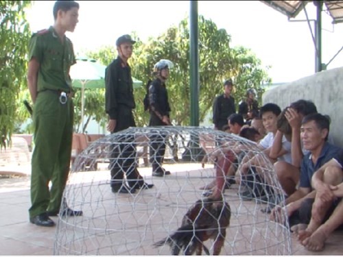 Các đối tượng bị bắt giữ trong vụ bắt bạc “khủng” bằng hình thức đá gà tại Quảng Bình