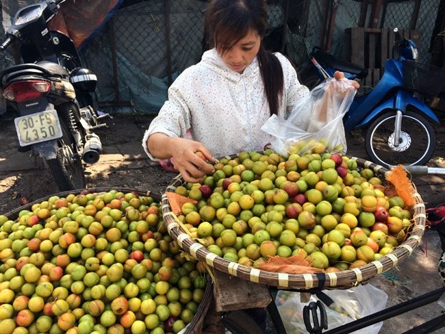 Mận đào Trung Quốc bày bán tràn lan ở Hà Nội
