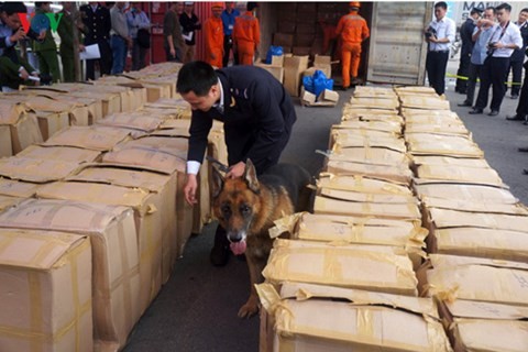 Ngày 20/3, tại bãi lưu hàng hóa của Cảng Tân Vũ, thuộc Công ty Cổ phần Cảng Hải Phòng, Cục Hải quan Hải Phòng đã phát hiện một container chứa lá Khat - loại ma tuý thảo mộc độc hại hơn các loại ma túy thông thường gấp 500 lần và một container chứa Shisha.