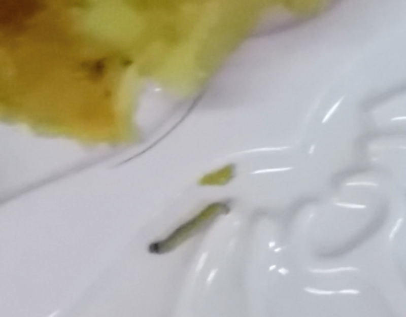 Hình ảnh được cho là dòi đang bò khi cắt bánh Trung thu được đăng tải lên Facebook. Ảnh: cắt từ clip