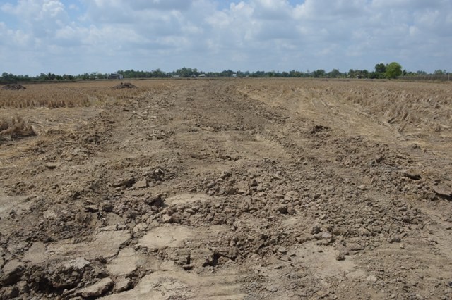 Hàng trăm ha đất công ở Cà Mau được cho thuê, mượn không đúng quy định. (Ảnh minh họa)