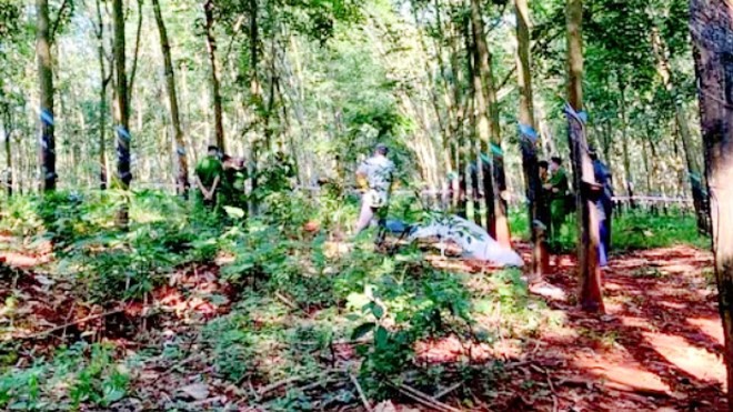 Khu rừng cao su nơi phát hiện xác nạn nhân