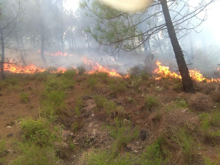 Rừng thông ở Hà Tĩnh cháy ngùn ngụt, hàng trăm người dập lửa