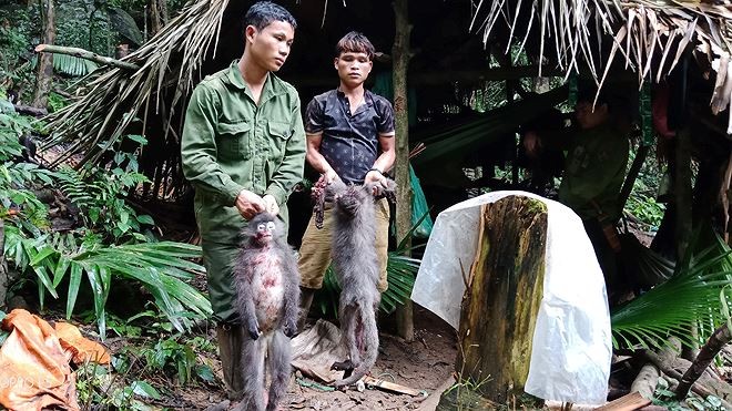 Hành vi săn bắn động vật rừng có thể bị phạt tới 400 triệu đồng.