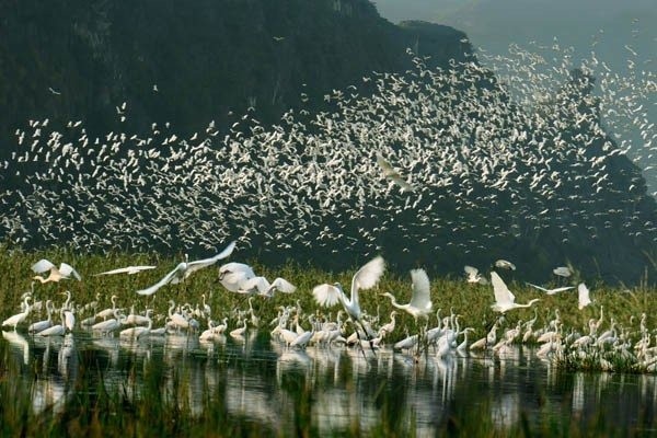 Đầm ngập nước Vân Long được công nhận khu Ramsar quốc tế