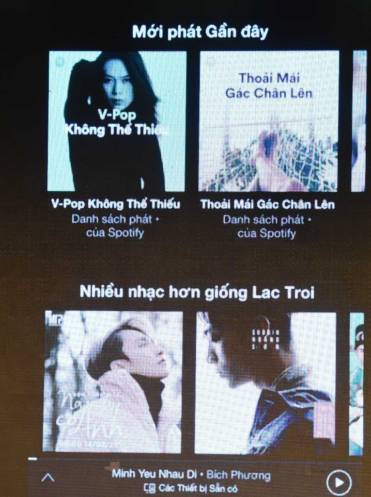 Mỹ Tâm, Đàm Vĩnh Hưng hợp tác với Spotify