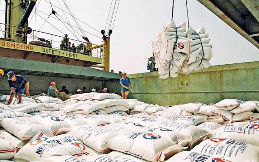 Xuất khẩu gạo - Ảnh: Báo Đấu thầu