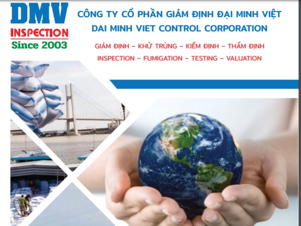 Ảnh chụp từ website của Cty CP Đại Minh Việt 