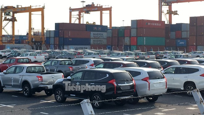 Ô tô nhập khẩu về cảng Tân Vũ, Hải Phòng. Ảnh: Tuấn Nguyễn