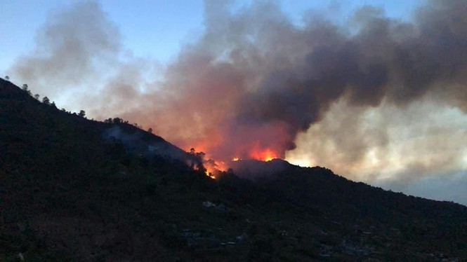 Chủ tịch Nghệ An chỉ đạo điều tra nguyên nhân, thủ phạm gây cháy rừng