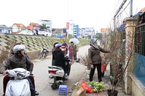 Trước đó, từ những ngày cuối tháng 12, tại chợ hoa Quảng An (Tây Hồ) và một số tuyến phố Hà Nội nhiều người đã bán đào.