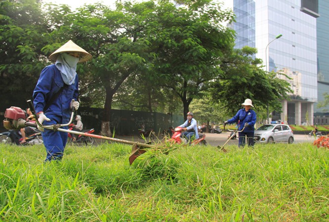 Các công nhân Cty Cây xanh cắt cỏ trên đường Trần Duy Hưng hồi tháng 10/2016. Ảnh: Trường Phong
