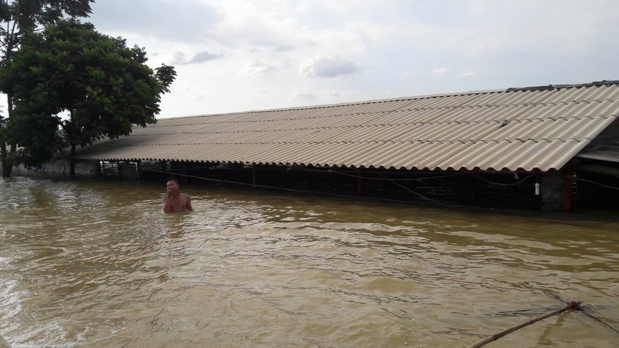 Hình ảnh nước ngập trắng vùng sau sự cố đê điều ở Hà Nội