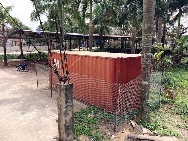 2 cây sưa sau khi chặt hạ thu được 31 khúc gỗ với đường kính lớn nhỏ khác nhau, được đưa toàn bộ vào chiếc container khóa chặt được rào kín bằng dây thép trước sân nhà văn hóa thôn. Ảnh: Laodong
