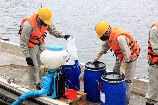 Nhiều hồ ở Hà Nội được xử lý ô nhiễm bằng chế phẩm RedOxy-3C