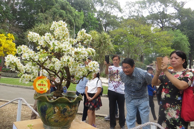 Người Sài Gòn đi ngắm "kỳ hoa dị thảo"