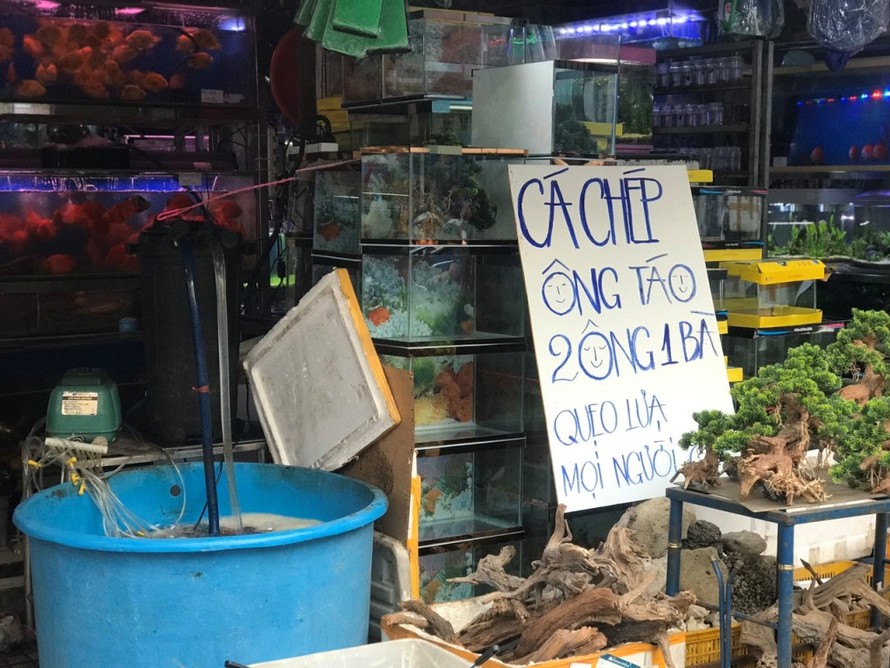 Tiệm kinh doanh cá treo biển mời mua cá chép khá ngộ nghĩnh