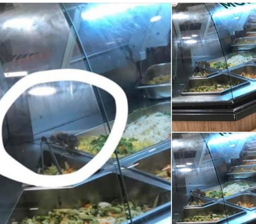 Chuột bò trên khay thức ăn tại khu ẩm thực của Aeon Tân Phú do khách hàng chụp được