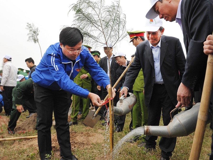 Các đại biểu trồng cây phi lao gây rừng phòng hộ