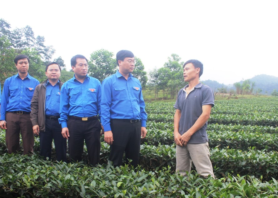 Đoàn công tác khảo sát mô hình kinh tế của đội viên Tổng đội TNXP - XDVKT mới Tây Sơn, Hương Sơn, Hà Tĩnh