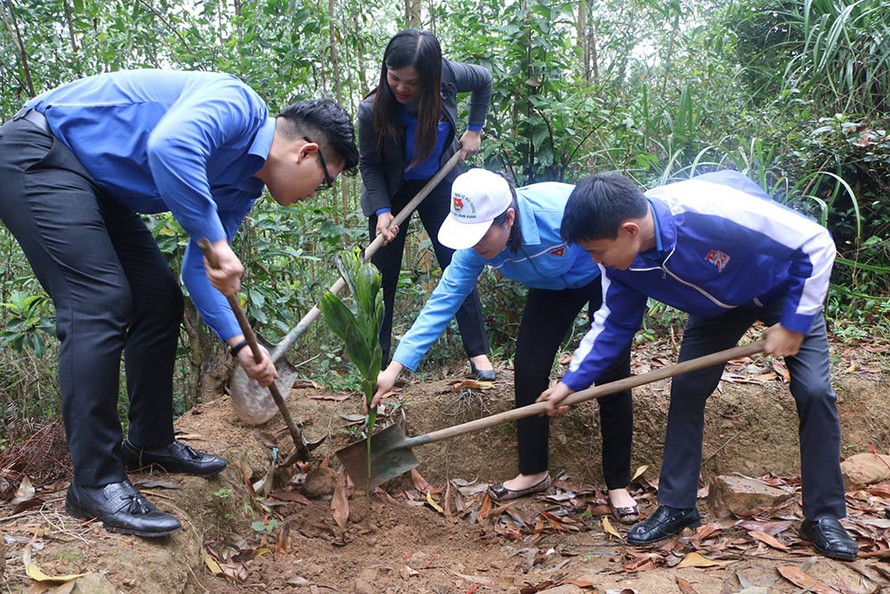 Đoàn viên thanh niên tham gia trồng cây xanh. Ảnh: Thành đoàn Hải Phòng