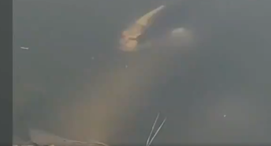'Sởn gai ốc' chứng kiến cá chép mặt người ở Trung Quốc