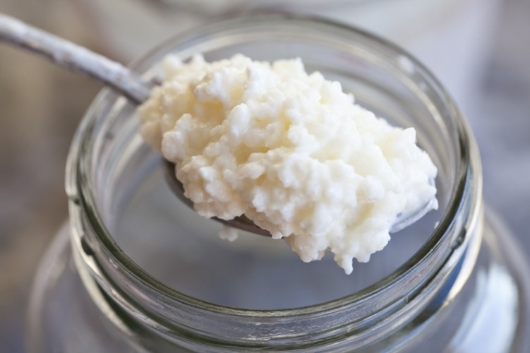 Nấm sữa Kefir và những lợi ích thần kỳ