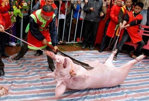 Lễ hội Chém lợn ở Bắc Ninh