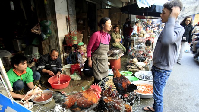 Các chợ gia cầm sống sẽ bị đóng cửa tạm thời nếu xuất hiện virus H7N9 (Chợ bán gà trên phố Vĩnh Hồ-Hà Nội). ảnh: như ý