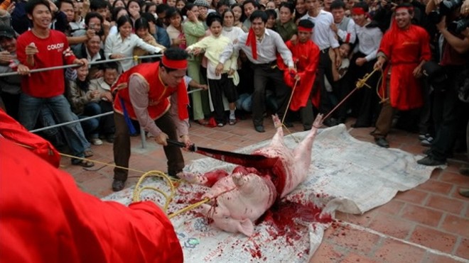 Quang cảnh ở lễ hội chém lợn (Ném Thượng, Tiên Du, Bắc Ninh)