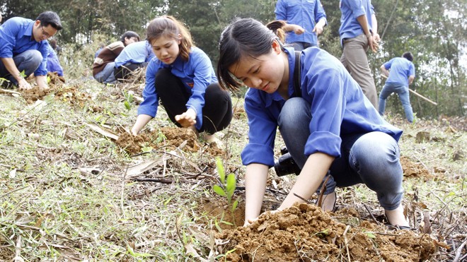 ĐVTN trồng cây trong Tháng Thanh niên 2014 tại Hòa Bình. ảnh: xuân tùng
