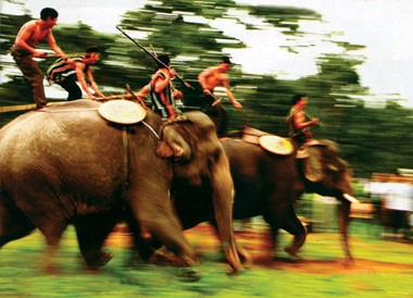 Buôn Đôn mở hội đua voi
