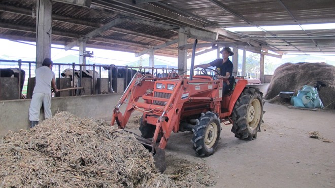 Anh Phan Doãn Huấn đang điều khiển máy xúc thức ăn cho đàn bò sữa. Ảnh: Phạm Anh