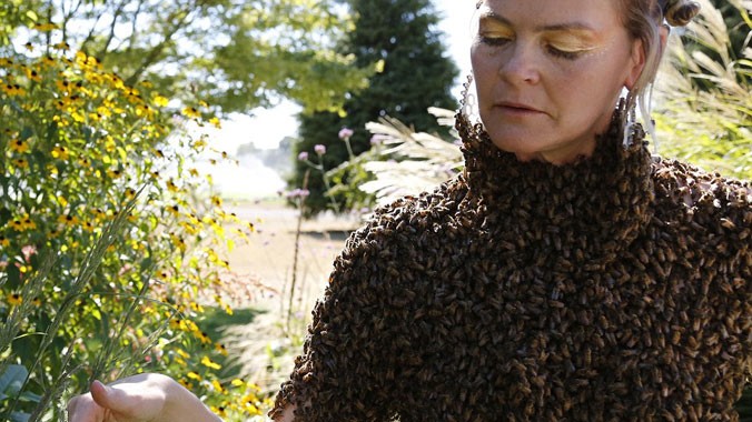 Chiếc áo từ 12.000 chú ong