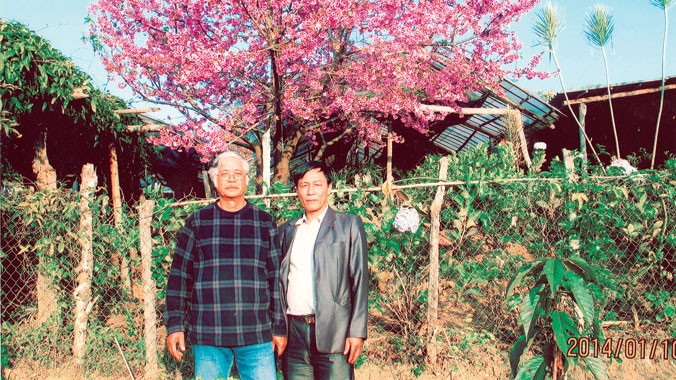 Ông Trần Lệ (trái) và bạn trước cây anh đào Nhật Bản. Ảnh: minh sang