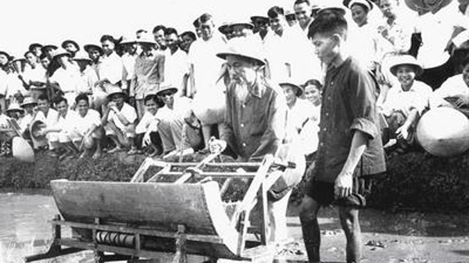 Bác đang cùng bà con nông dân thử nghiệm máy cấy mới ở ngoại thành Hà Nội năm 1961. Ảnh: Tư liệu