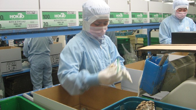Lao động Việt Nam làm việc một nhà máy ở Kagawa-Hokto, Nhật Bản. Ảnh: Phạm Dũng