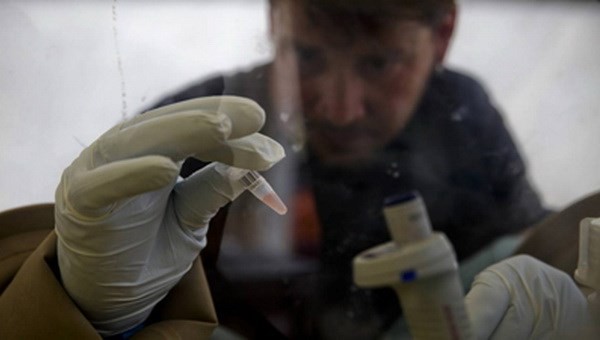 Thử nghiệm thành công vắc-xin Ebola trên khỉ