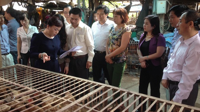 Bộ trưởng Nguyễn Thị Kim Tiến kiểm tra tại chợ gia cầm Giếng Vuông (Lạng Sơn)