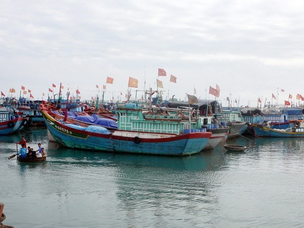 Các tàu cá tại cảng Lý Sơn. Ảnh: TTXVN
