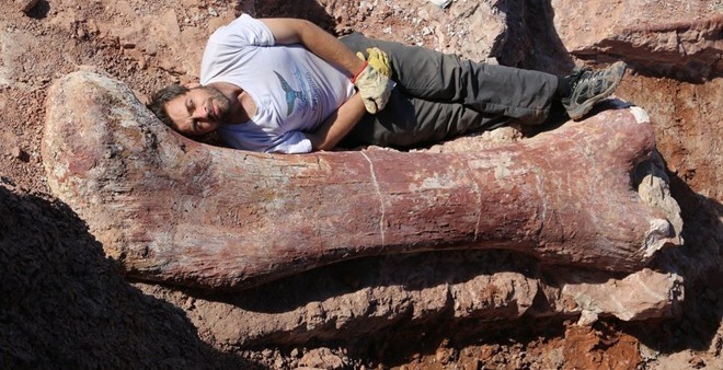  Mẩu xương bắp đùi của con khủng long gần vùng La Flecha, Argentina to hơn cơ thể người đàn ông phương Tây. Ảnh: BBC